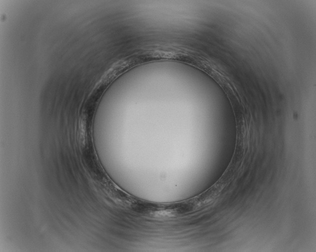 X0000087710312200705040923