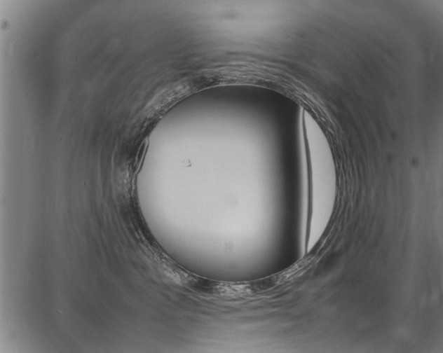 X0000087710333200705040922