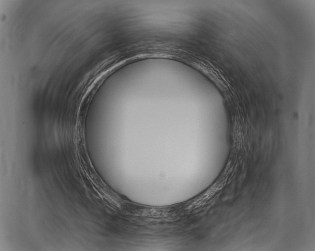 X0000087710338200705040922