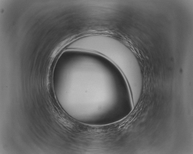 X0000087710340200705040922