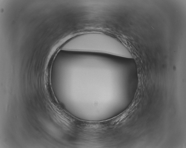 X0000087710342200705040922