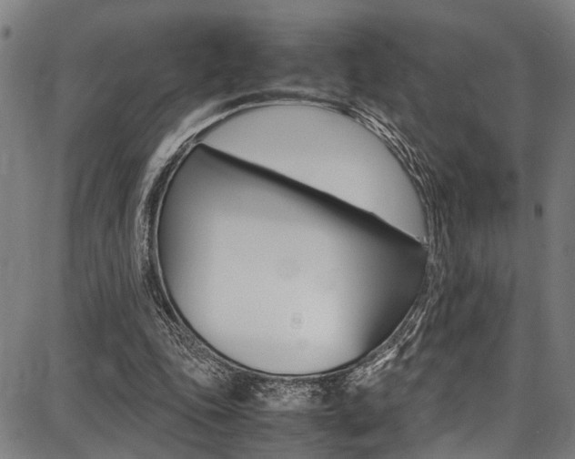 X0000087710343200705040922