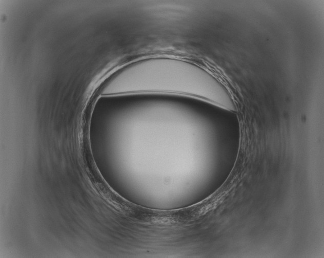 X0000087710344200705040922
