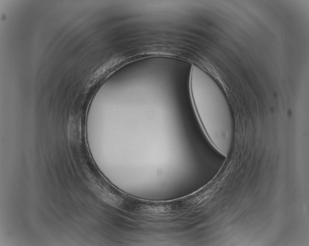 X0000087710349200705040922