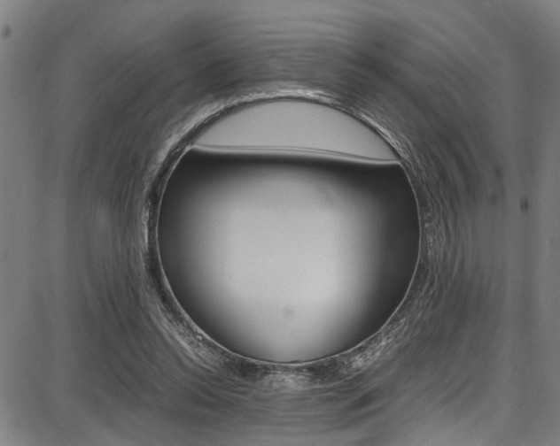 X0000087710350200705040922