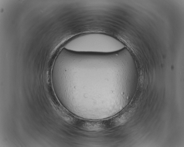 X0000087710351200705040922