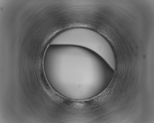 X0000087710352200705040922