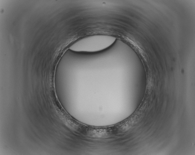 X0000087710353200705040922