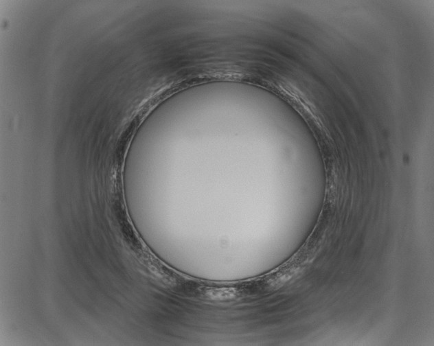 X0000087710355200705040922