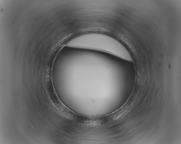 X0000087710356200705040922
