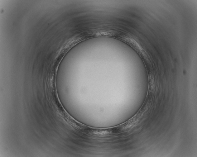 X0000087710357200705040922