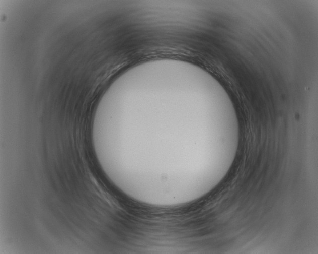 X0000087710360200705040922