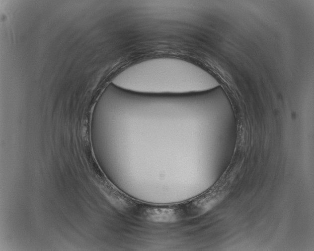 X0000087710361200705040922