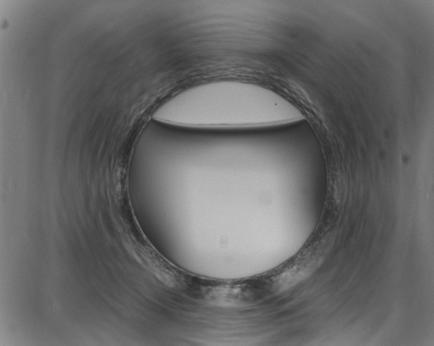 X0000087710366200705040922