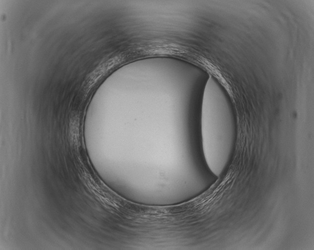 X0000087710386200705040922