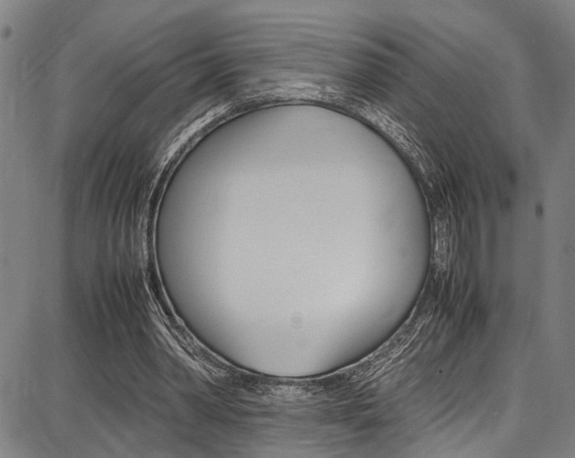 X0000087710390200705040921