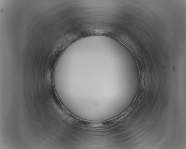 X0000087710410200705040921