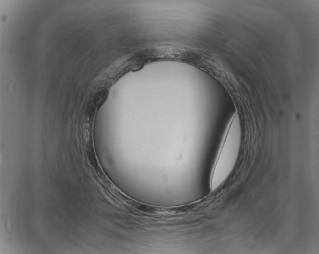 X0000087710413200705040921