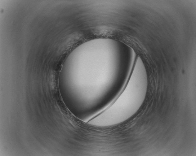 X0000087710416200705040921