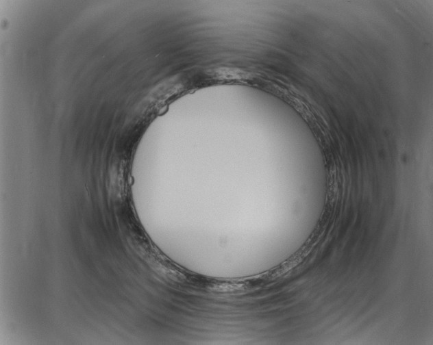 X0000087710422200705040921