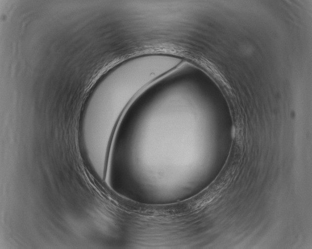 X0000087710434200705040920