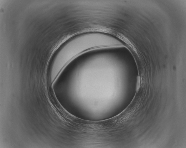 X0000087710436200705040920