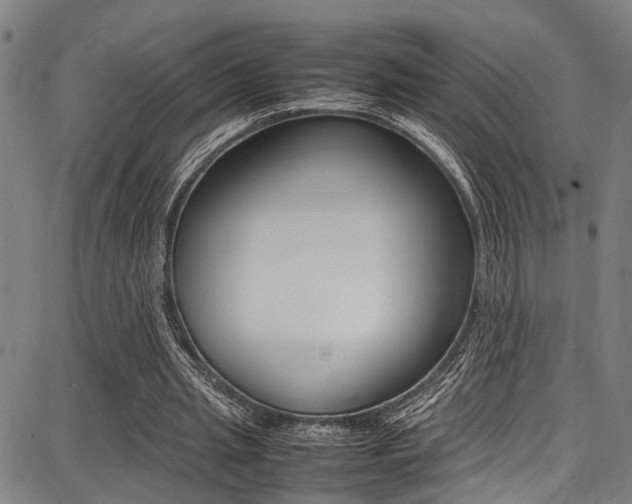 X0000087710437200705040920