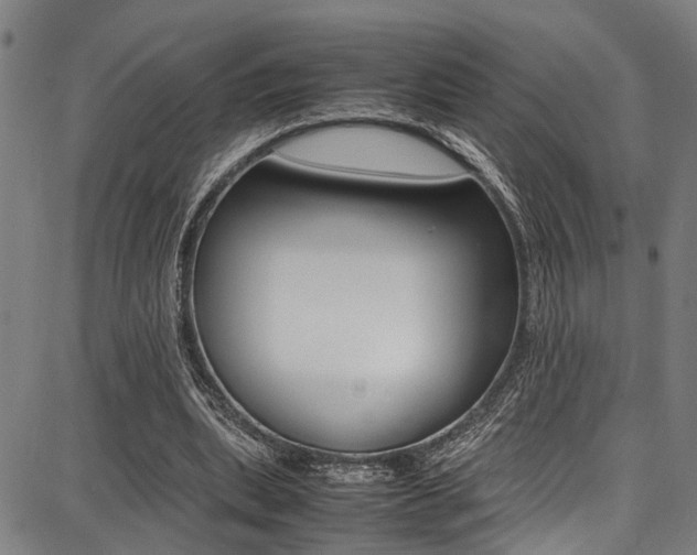 X0000087710439200705040920