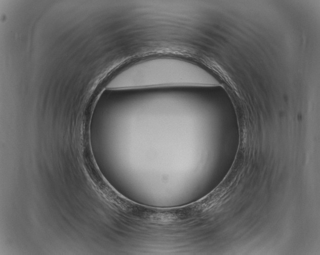 X0000087710444200705040920