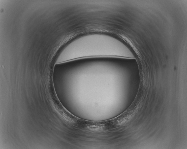 X0000087710447200705040920