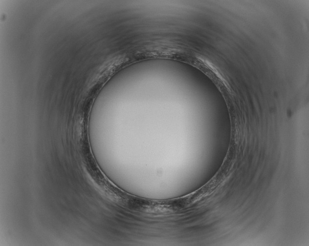 X0000087710451200705040920