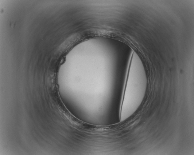 X0000087710462200705040920