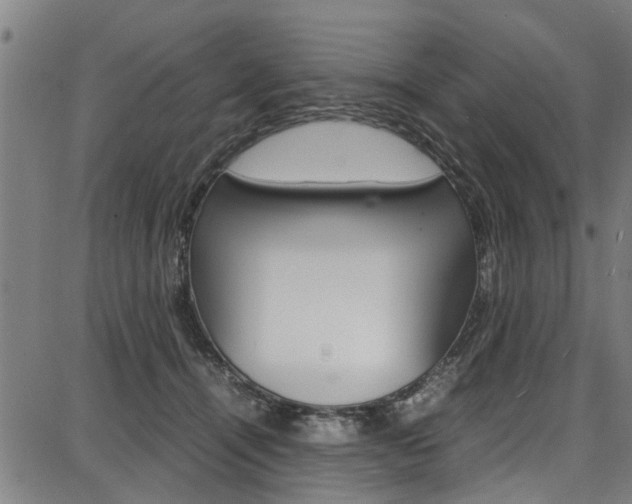 X0000087710464200705040920