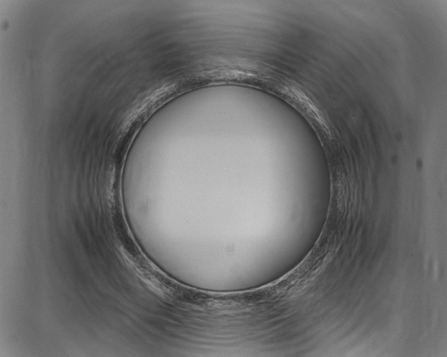 X0000087710490200705040920
