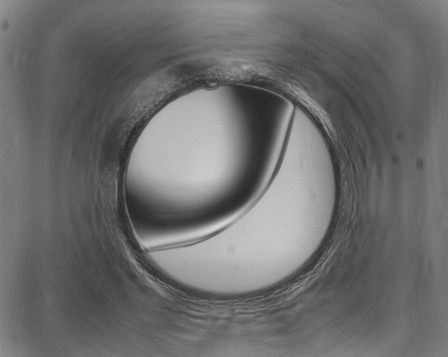 X0000087710493200705040920