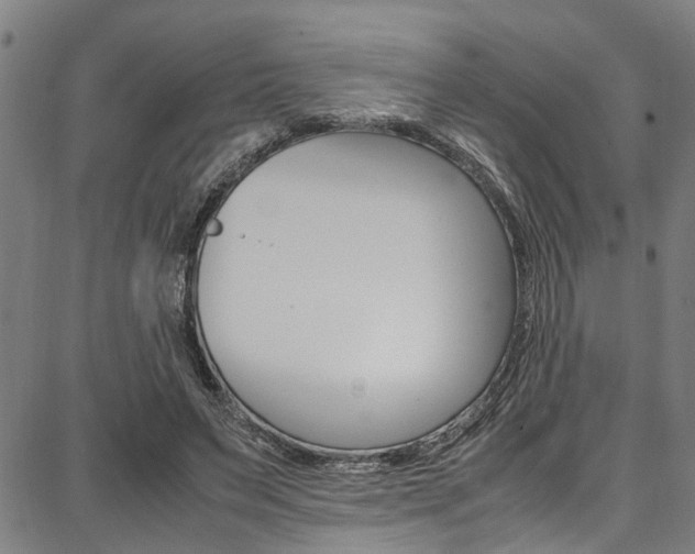 X0000087710495200705040920