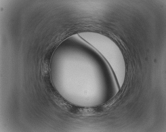 X0000087710517200705040919