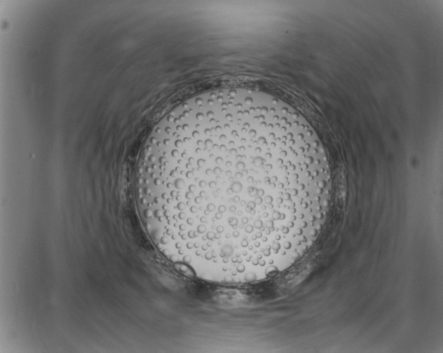 X0000087710519200705040919