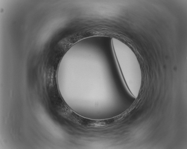 X0000087710525200705040919