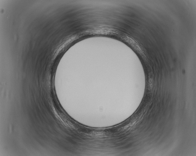 X0000087710534200705040918