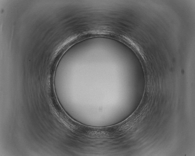 X0000087710535200705040919