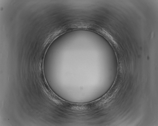 X0000087710537200705040919
