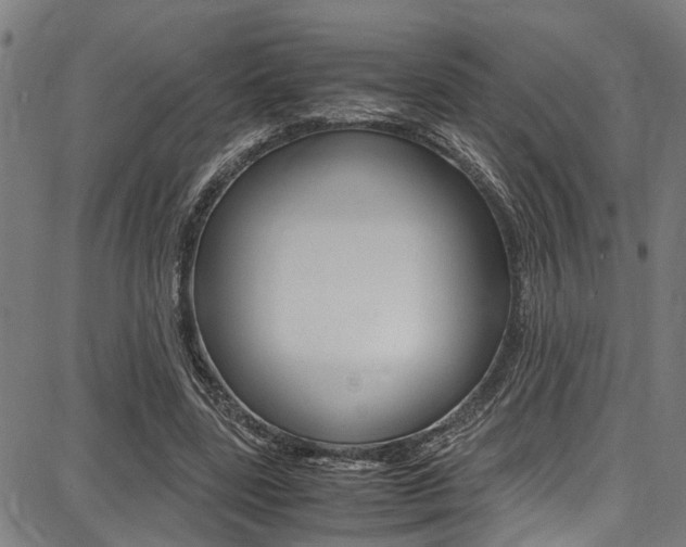 X0000087710539200705040919