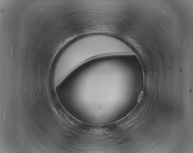 X0000087710540200705040919