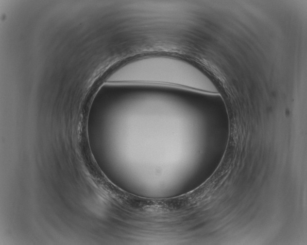 X0000087710544200705040919