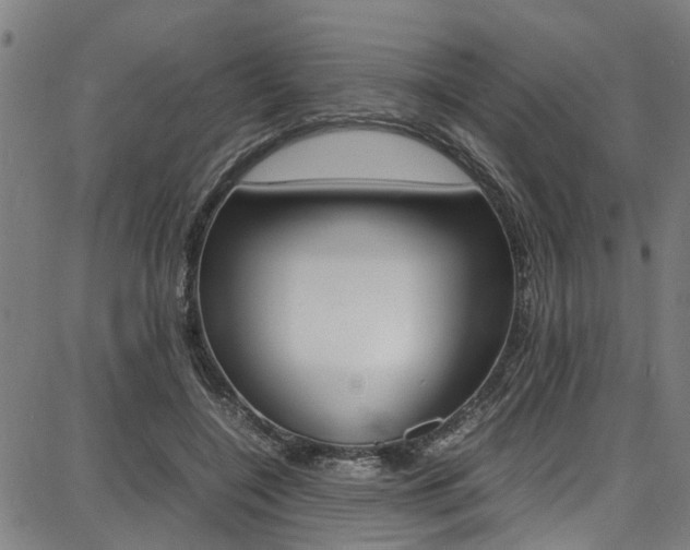 X0000087710548200705040919