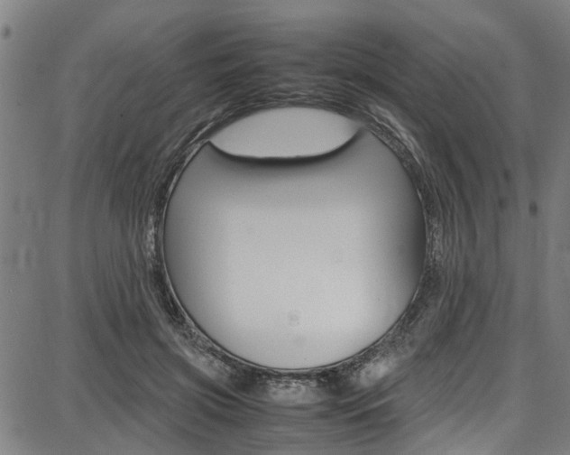 X0000087710549200705040919