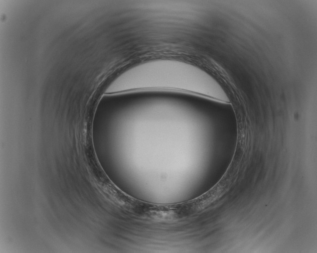 X0000087710552200705040919