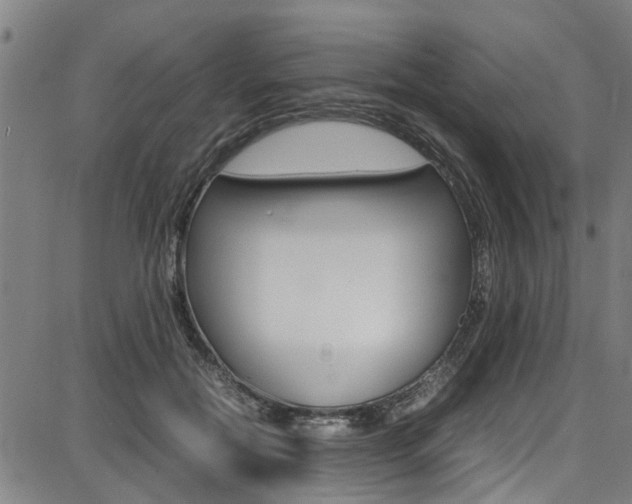 X0000087710554200705040919