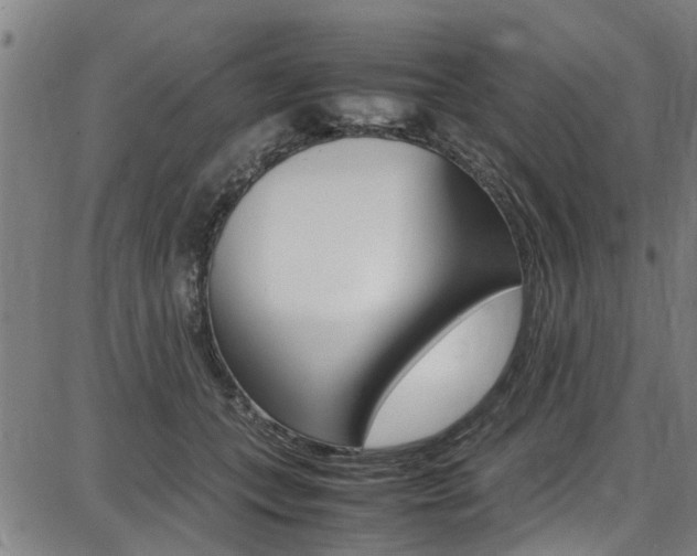 X0000087710559200705040919
